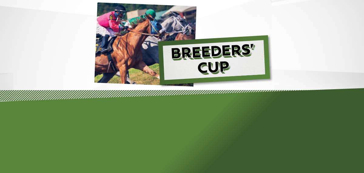 Breeder's Cup