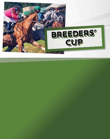 Breeder's Cup